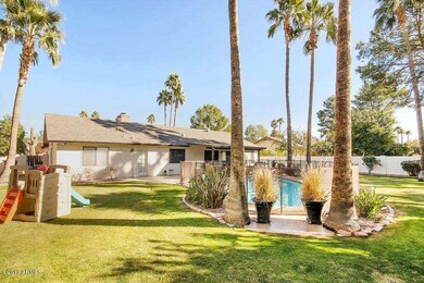 Lush backyard w/ palms and citrus