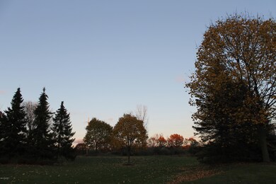 504
