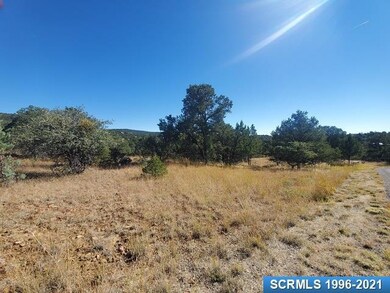 17 Vesuvius Way unit Lot 116, Silver City, NM 88061 - photo 2