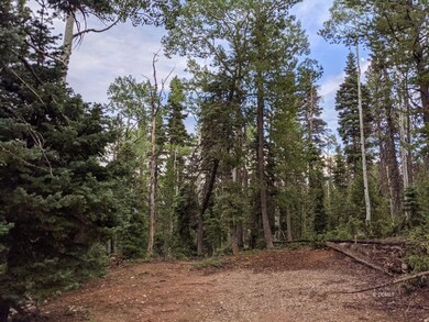 35 S Solitude, Duck Creek Village, UT 84762 - photo 3