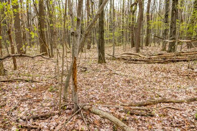 00 V/L 108th Ave, Pullman, MI 49450 - photo 7