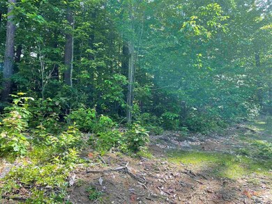 130 Granite Rd, Ossipee, NH 03864 - photo 5