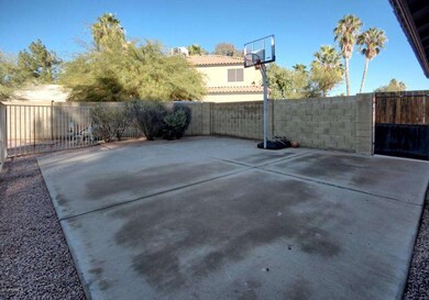 Basketball Court_ShiftN
