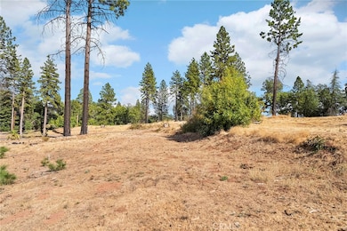 6187 Virginia Way, Paradise, CA 95969 - photo 7