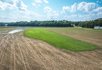 000 Shawneetown Ford Spur Tract A, Union, MO 63084 - photo 7