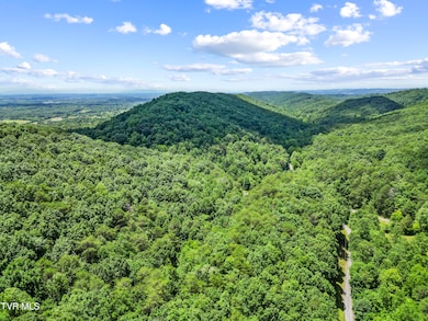 DJI_0099