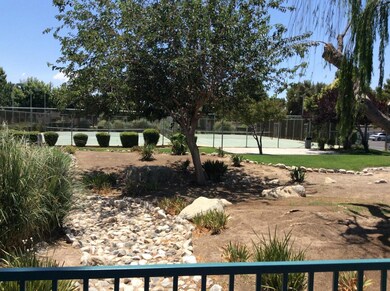 tennis court