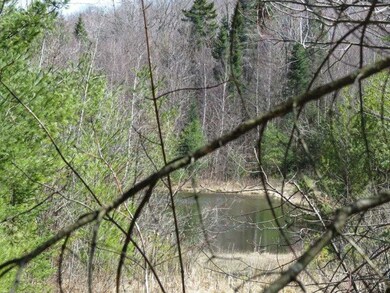 0 Height of Land Rd, Grafton, NH 03240 - photo 7