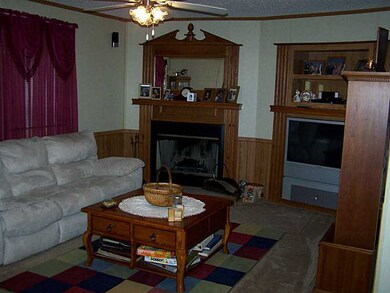 14206 Mineral Springs Rd, West Fork, AR 72774 - photo 7