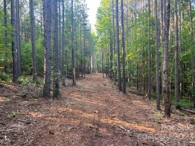 0 Manus Chapel Rd unit CAR4053894, Mill Spring, NC 28756 - photo 5