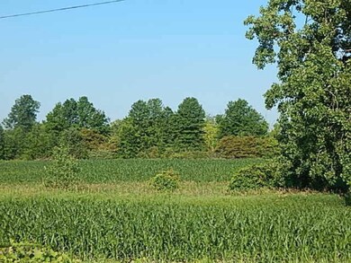 DSCN8020