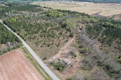 160 Old Nesbitt Rd, Cordele, GA 31015 - photo 3