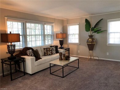 LOTS OF WINDOWS.CUSTOM SHADES. LIGHT AND BRIGHT