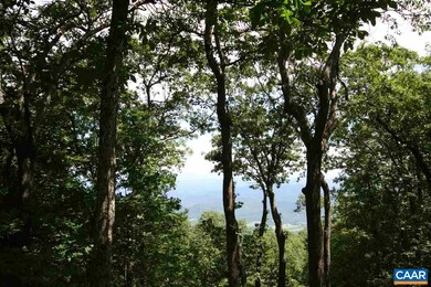 256 Pedlars Edge Dr unit 17, Rockfish, VA 22967 - photo 4