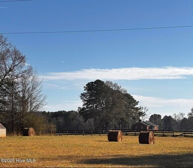 003tbd N Carolina 58, Nashville, NC 27856 - photo 4