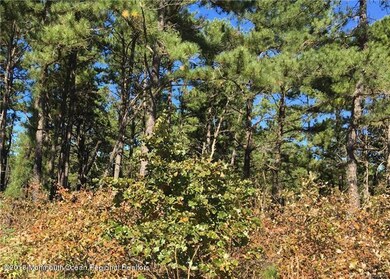 0 Seabrook Ave unit 21841950, Bayville, NJ 08721 - photo 2