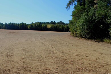 1 TBD Dew RD Dew Rd, Marion, SC 29571 - photo 5