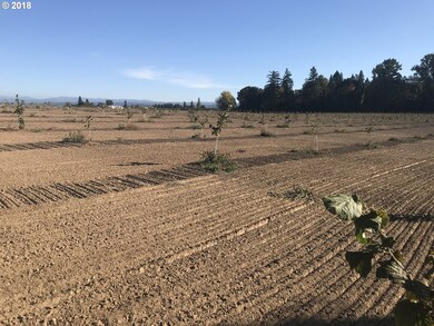 0 S Schneider Rd, Canby, OR 97013 - photo 2