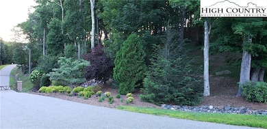Lot  21 Boulder Cay Rd, Boone, NC 28607 - photo 3