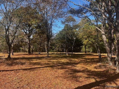 4.36 Acre Lot U S 80, Shorter, AL 36075 - photo 4
