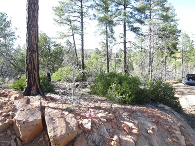 6210 Wildcat Trail, Show Low, AZ 85901 - photo 7