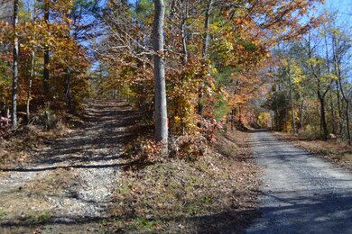 28.30ac Whitson Hollow Rd, Red Boiling Springs, TN 37150 - photo 5