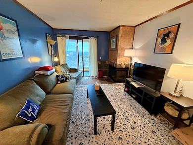 301 A Snowcrest, Snowshoe, WV 26209 - photo 2