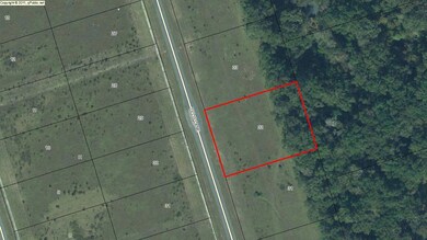 278 Tillis Ln, Crawfordville, FL 32327 - photo 4