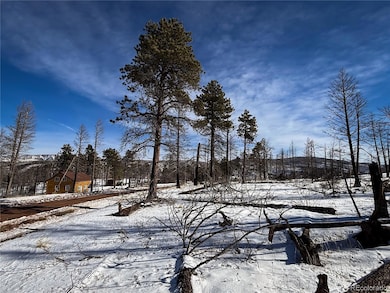 LOT 591 Leslie Loop, Fort Garland, CO 81133 - photo 5