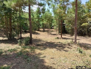 7104 Pin Oak Rd, Big Sandy, TX 75755 - photo 4