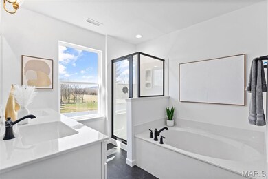 3 Sterling at Bella Terra, Imperial, MO 63010 - photo 7