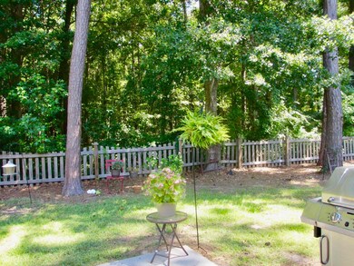 Woods Behind Home