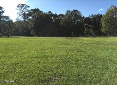 Lot 4 Lancair Dr, Picayune, MS 39466 - photo 7