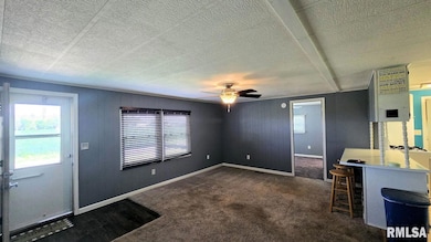 202 Evans St, Loami, IL 62661 - photo 2