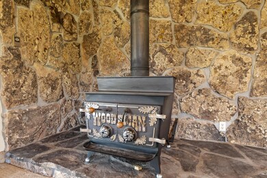 21565 Highway 65, Cedaredge, CO 81413 - photo 6