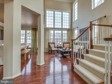 21625 Merion St, Ashburn, VA 20147 - photo 5