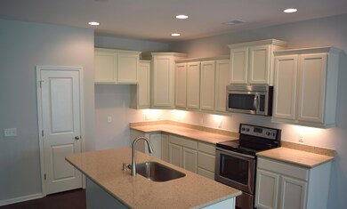 Lovely Designer Kitchen