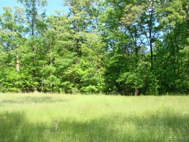 40.29 acres S Crater Rd, North Dinwiddie, VA 23805 - photo 6