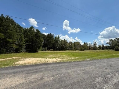 0 Murray St, Orangeburg, SC 29115 - photo 2