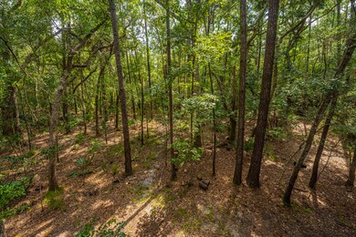 3605 Deer Creek Rd, Mount Pleasant, SC 29466 - photo 2