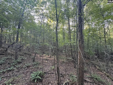 0 Shaw Rd, Woodruff, SC 29388 - photo 5