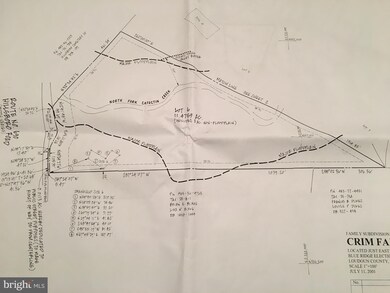 Lot 6 LOT 6 Hillsboro Rd, Blue Ridge, VA 20132 - photo 3