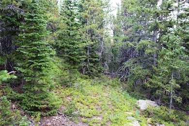 00 Fs-411 1, Black Hawk, CO 80422 - photo 6