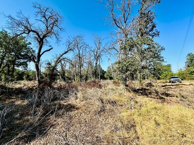 County Road 428, Cross Plains, TX 76443 - photo 5