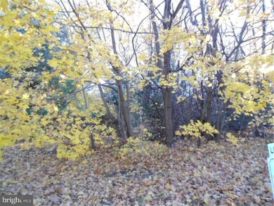 L7.01 Lewis Ave, Deptford, NJ 08096 - photo 3