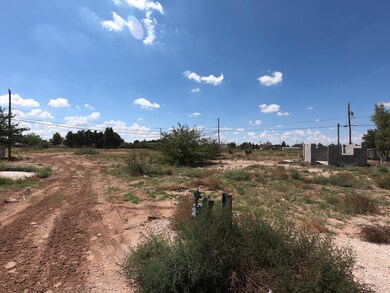 731 Cobre St, Horizon City, TX 79928 - photo 3