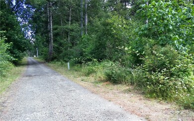 0 E Blackwell St unit 1317350, Allyn-Grapeview, WA 98524 - photo 2