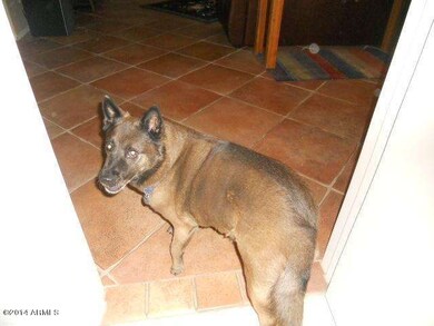 1238 E Douglas Ave, Gilbert, AZ 85234 - photo 2