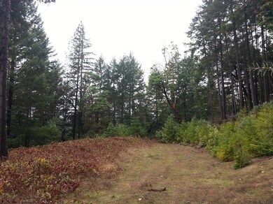 338 Thornridge, Grants Pass, OR 97526 - photo 2