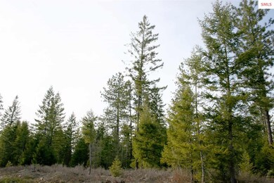 NNK B5 Northern Sky Rd, Athol, ID 83801 - photo 3